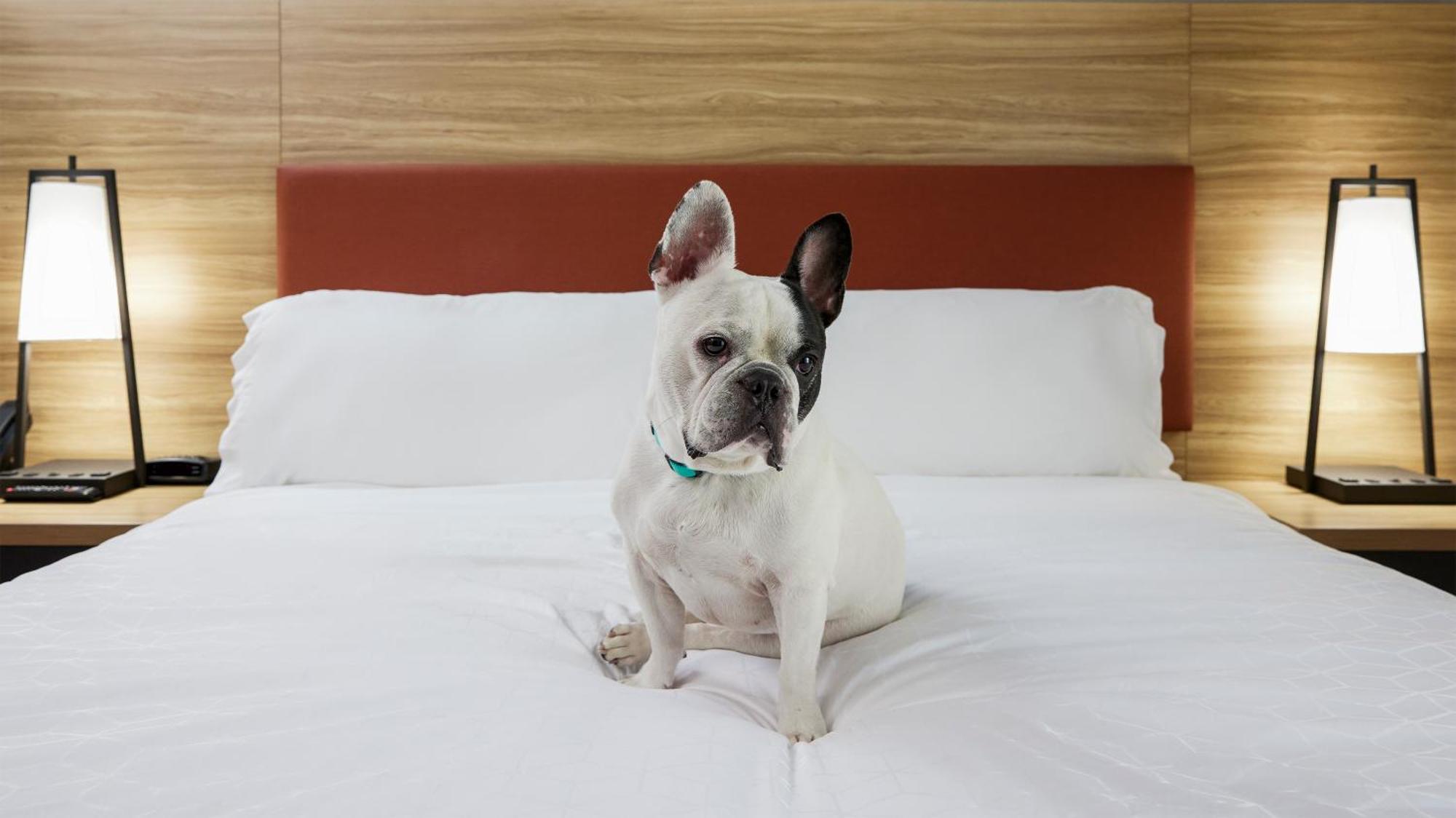 Candlewood Suites Junction City - Ft. Riley By Ihg Exterior foto